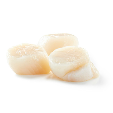 Frozen Canadian Large Raw Scallops 22/44