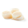 Frozen Canadian Large Raw Scallops 22/44