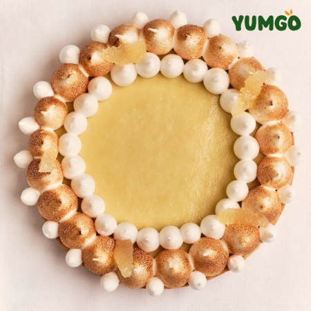 Yumgo Plant Based Egg White Powder