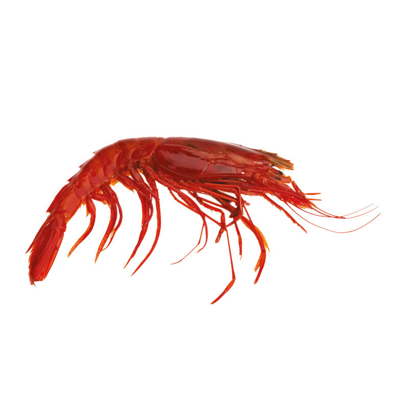 Frozen Red Carabineros Prawn XL 8-10pcs