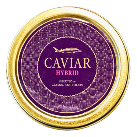 Hybrid Caviar Schrenkii-Dauricus