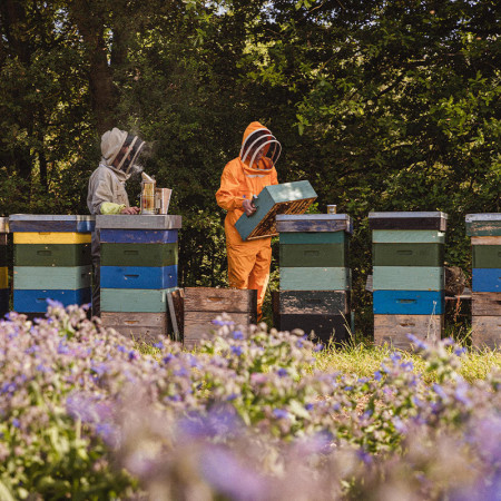 The London Honey Company Wiltshire Honey
