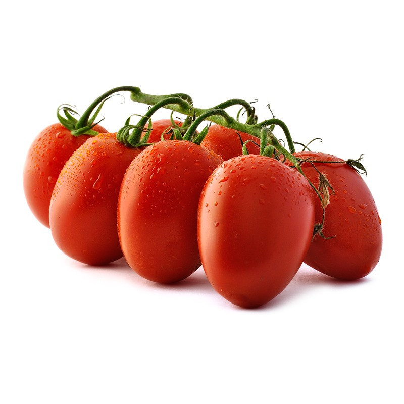 Plum Tomato On The Vine