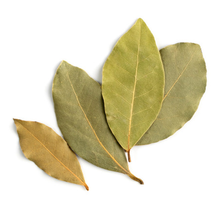 Bay Leaves
