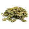 Curry Leaves