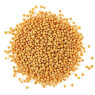 Mustard Seed Yellow