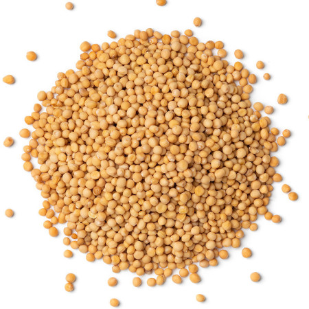 Mustard Seeds