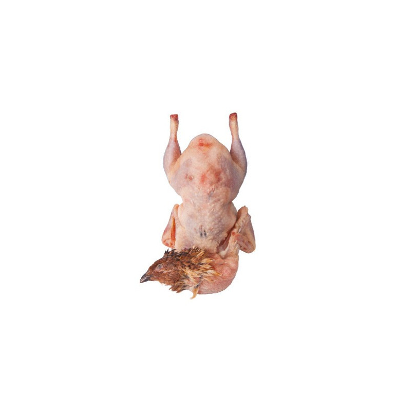 Whole French Quail
