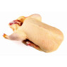 Duck Medium