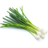 Spring Onion