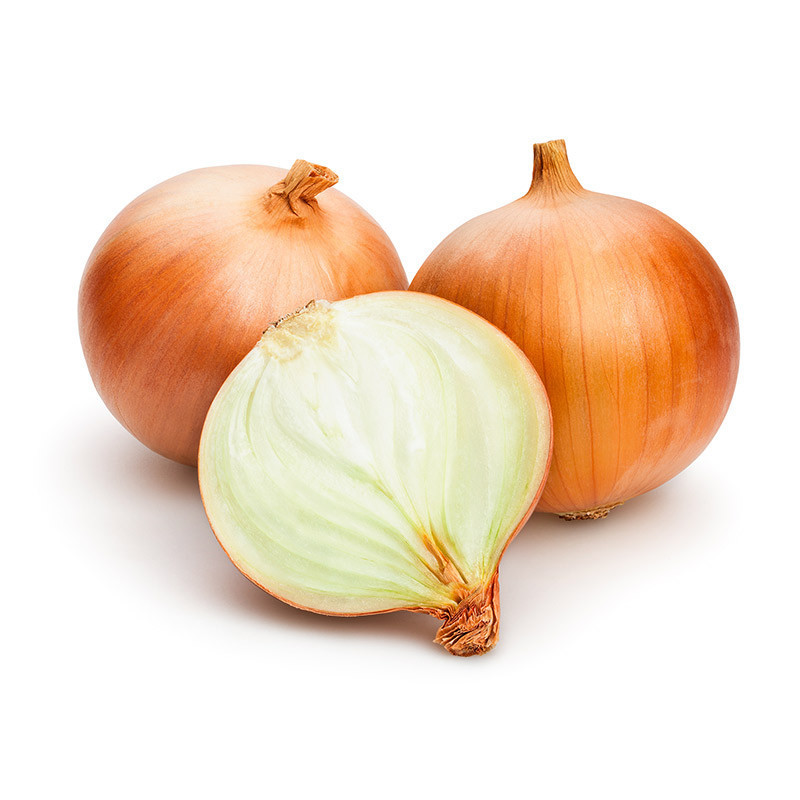Spanish/Chillean Onion