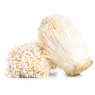 Enoki Mushrooms