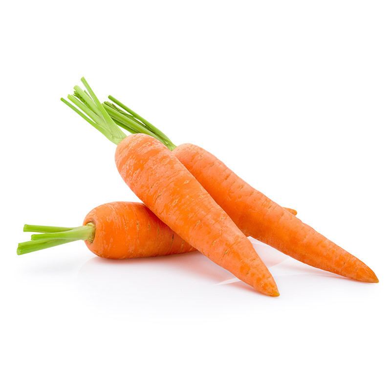 Carrot Donkey