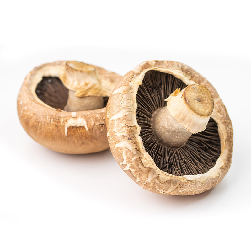 Portobello Mushrooms