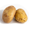 Large Agria Potato