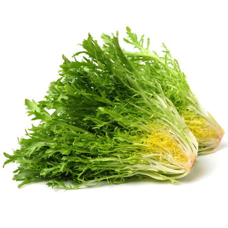 Frisee Lettuce