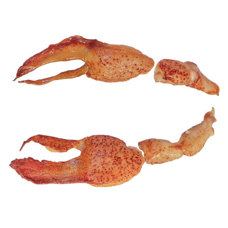 Cinq Degres Ouest Frozen Raw Canadian Lobster Meat Claws And Knuckles