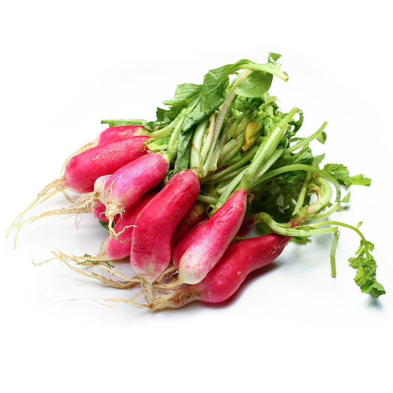 Breakfast Radish Bunch