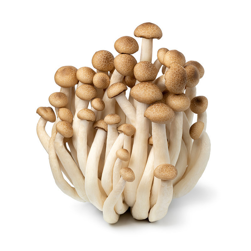 Shimeji Brown Mushrooms