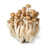 Shimeji Brown Mushrooms