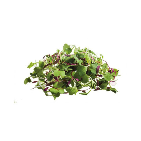 Micro Salad Mix