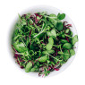 Micro Salad Mix