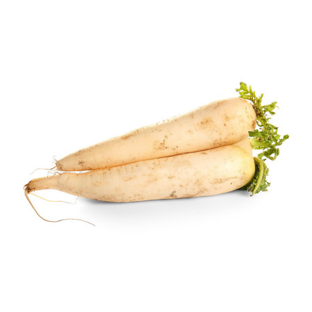 Mooli White Radish