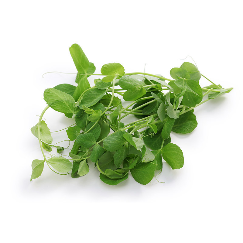 Peashoot Salad Loose
