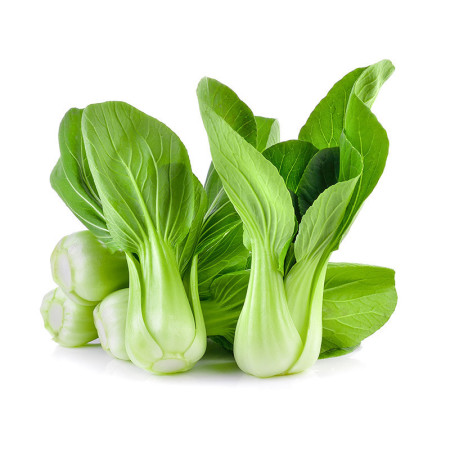 Green Bok Choi Green