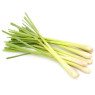 Lemon Grass