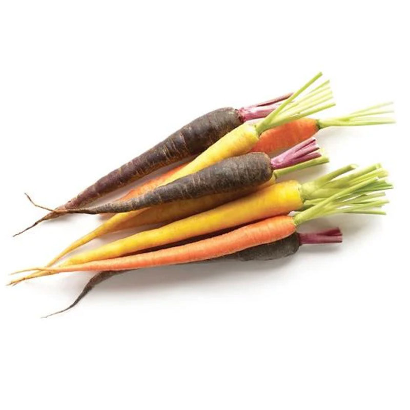 Baby Rainbow Yukon Carrot