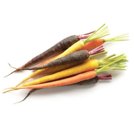 Baby Rainbow Yukon Carrot