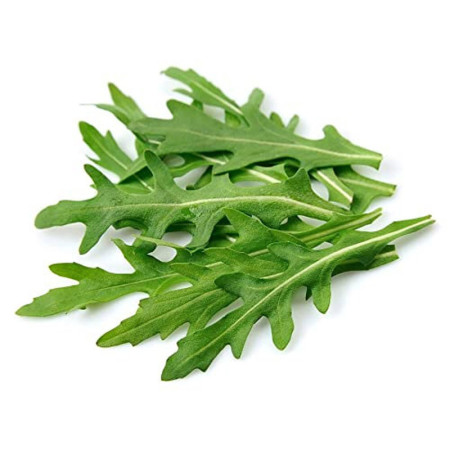 Pre-packed Wild Rocket