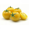 Yellow Cherry Tomato