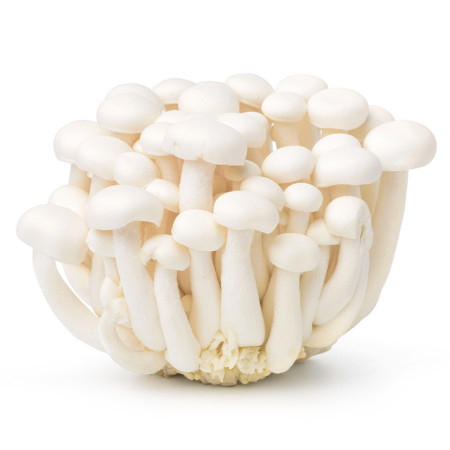 White Shimeji Mushrooms