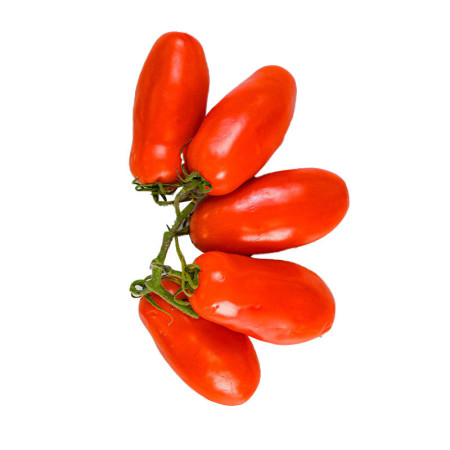 San Marzano Tomato