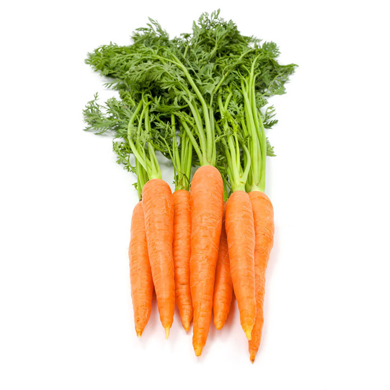 Carrot Bunch