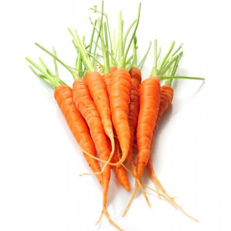 Baby Orange Yukon Carrot