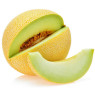 Gaia Melon