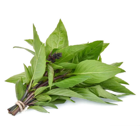 Fresh Thai Basil