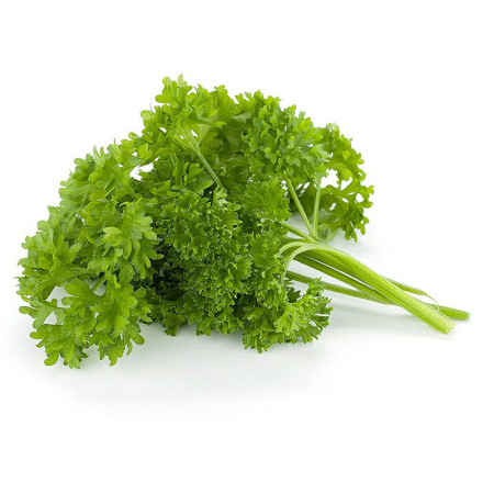 Fresh Culy Parsley