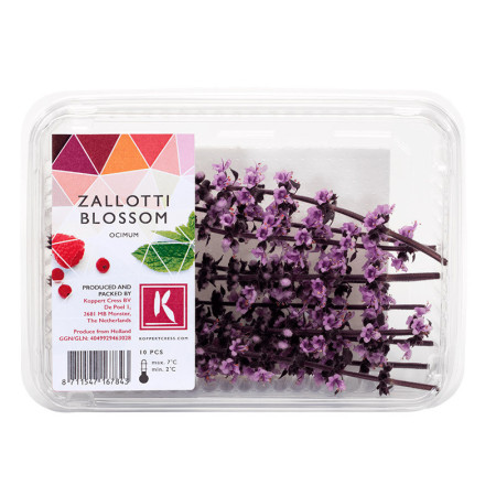 Zallotti Blossom