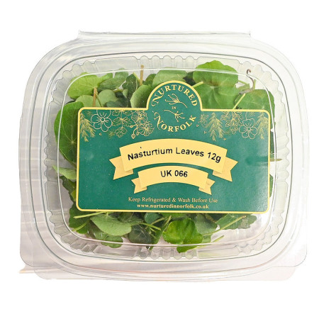 Green Nasturtium Leaves