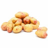 King Edward Potato