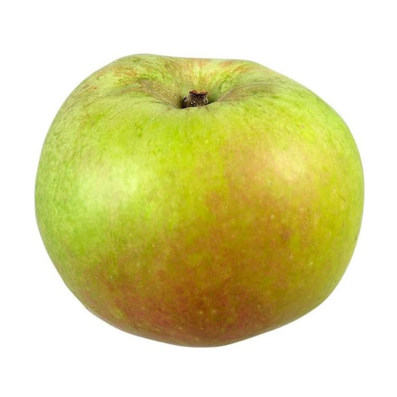 Bramley Cooking Apple