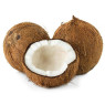 Coconut
