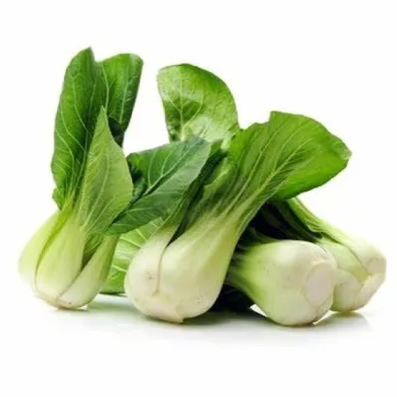 Baby White Pak Choi