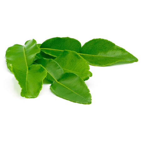 Frozen Kaffir Lime Leaves
