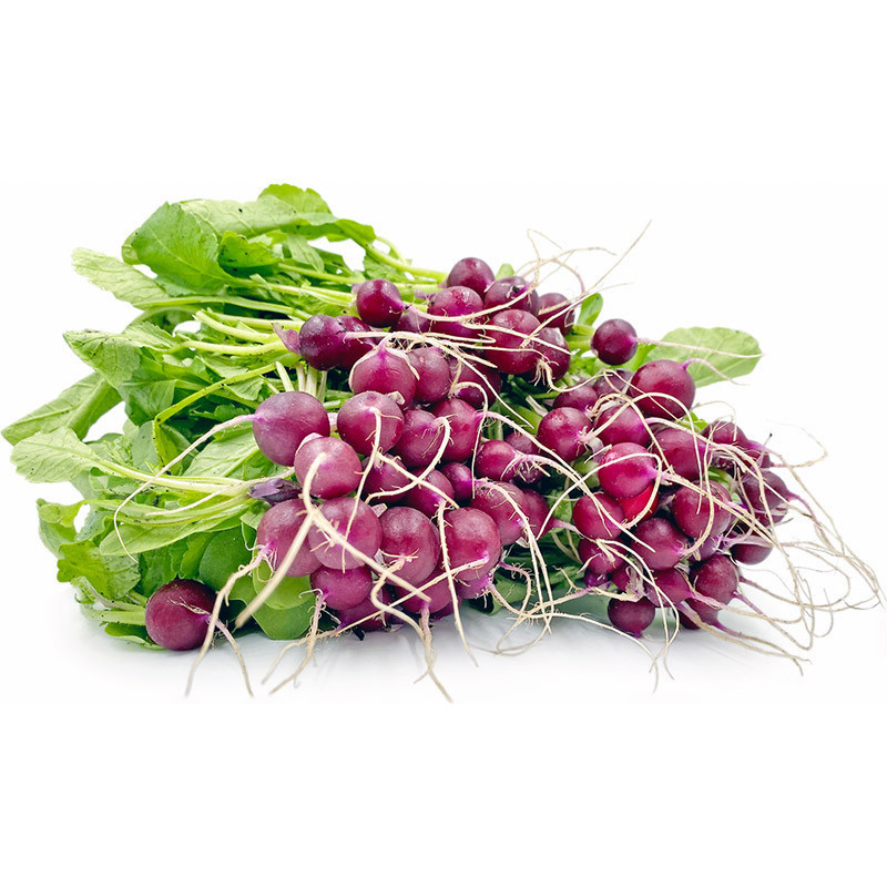 Purple Baby Radish