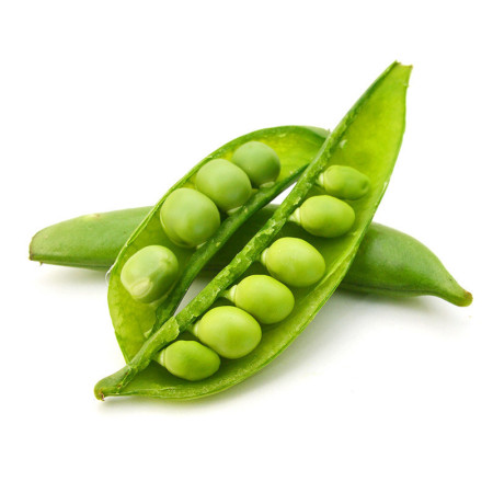 Sugarsnap Pea